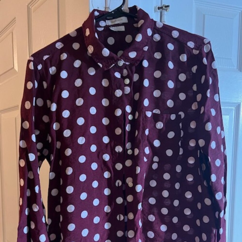 Button-Up Polka Dot Blouse in Maroon & White
